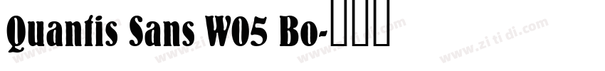 Quantis Sans W05 Bo字体转换